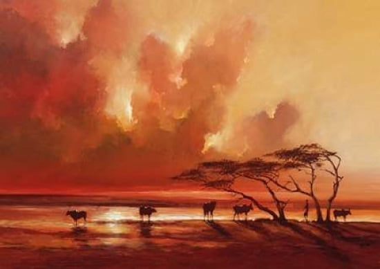 Cattle Drinking Canvas Art - Jonathan Sanders (20 x 28)