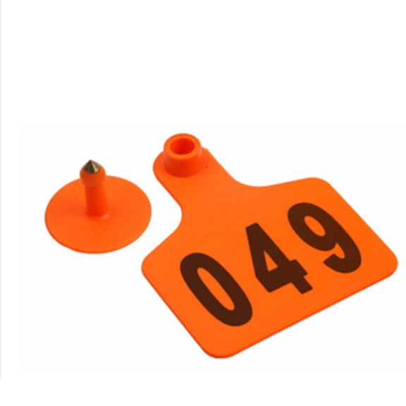 Cattle Ear Numbered Large Ear for Sheep Cows Goats Pigs Animal Calf Livestock Ear Green Orange Yellow