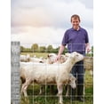 thumbnail image 1 of Cattle Fence Panel 4Ft x 164Ft Agricultural Metal Farm Fencing for Yard, Galvanized Welded Wire Fence for Hog, Deer, Goat, Sheep, Animals and Field Protection, 1 of 13