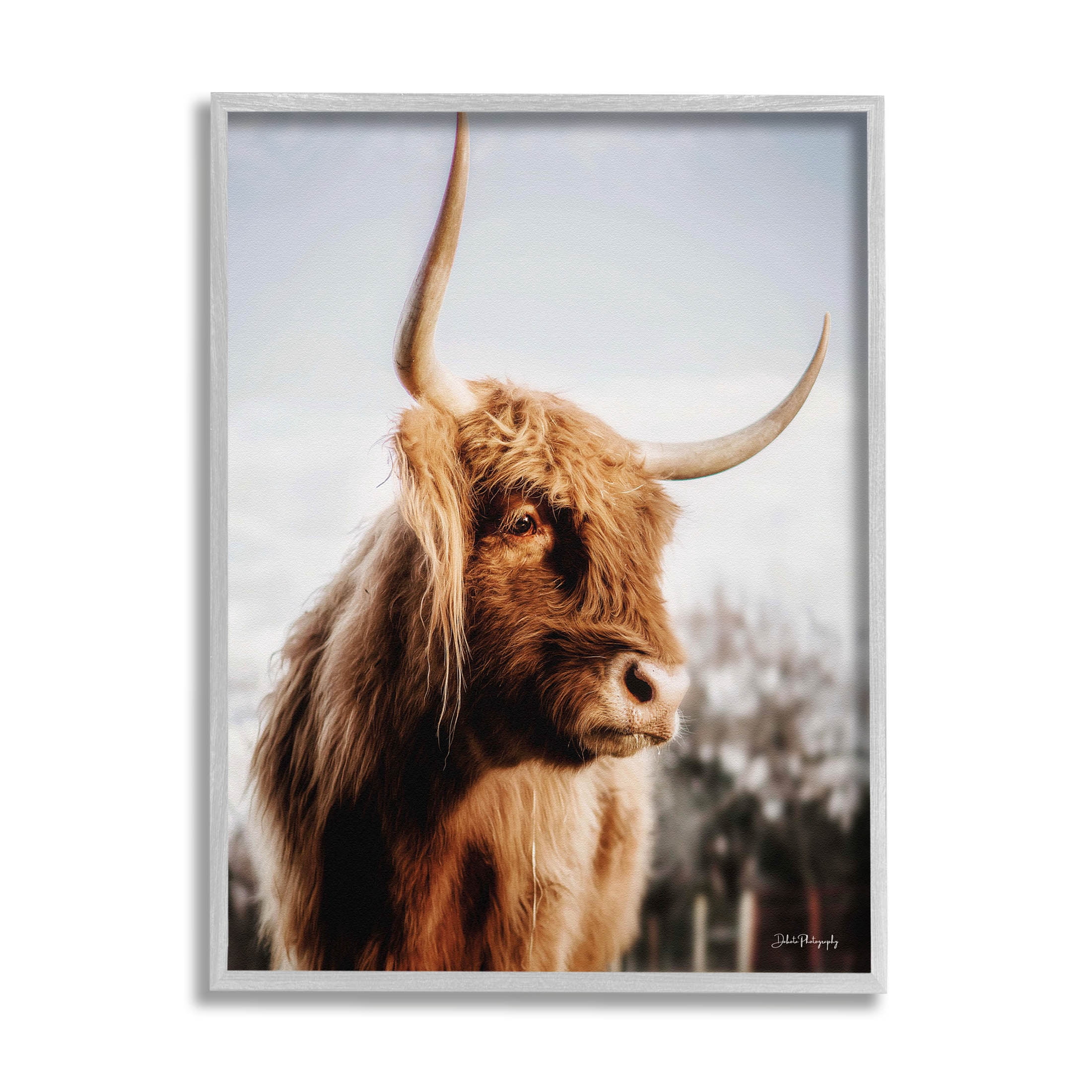 Cattle Gazing Rural Landscape Animals & Insects Photograph Gray Framed Art Print Wall Art