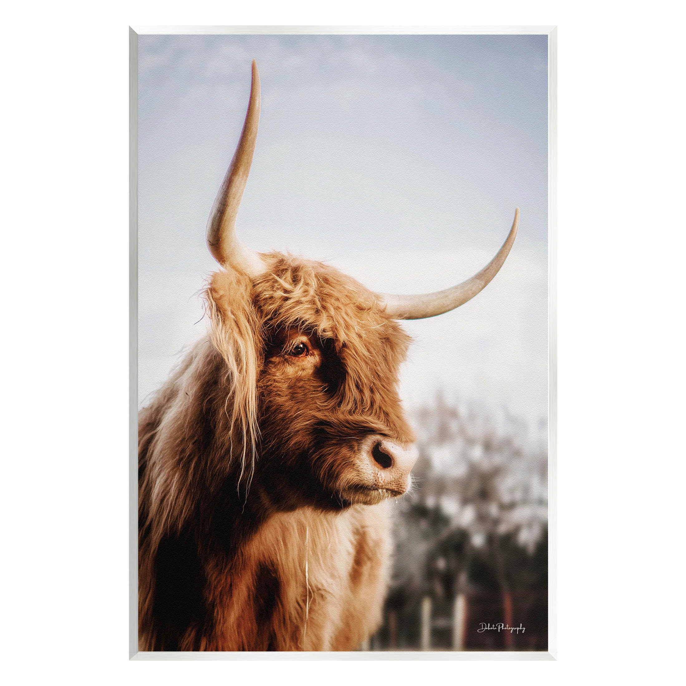 Cattle Gazing Rural Landscape Animals & Insects Photograph Unframed Art Print Wall Art