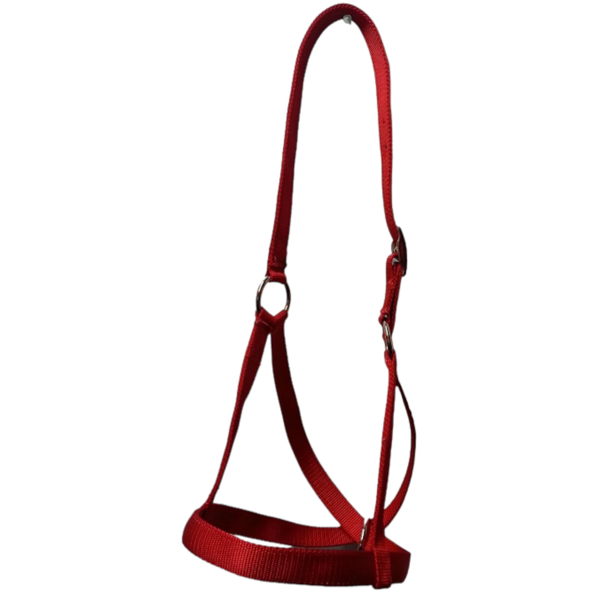 Cattle Halter Newborn Calf Yearling Cow Bull (Newborn, Red) - Walmart.com