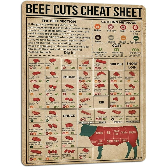 Cattle Knowledge Metal Tin Sign Breed Information Poster Animal Farm Anatomy Club School Educational Wall Decoration 16x12 Inch