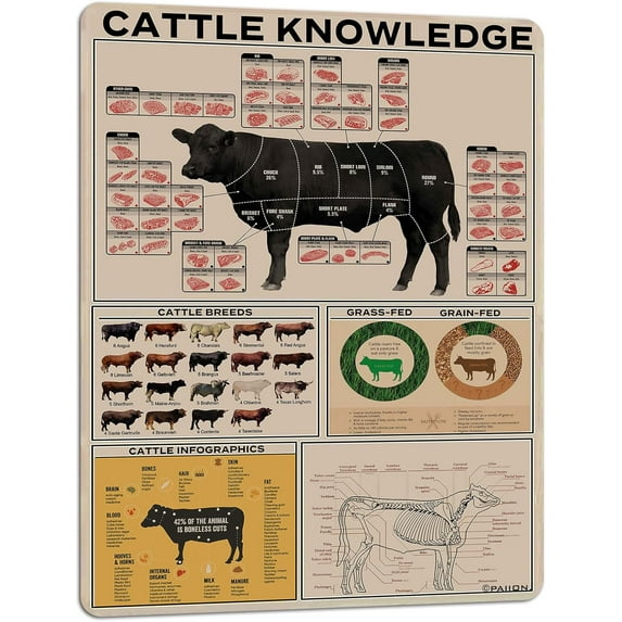 Cattle Knowledge Metal Tin Sign Breed Information Poster Animal Farm Anatomy Club School Educational Wall Decoration 16x12 Inch