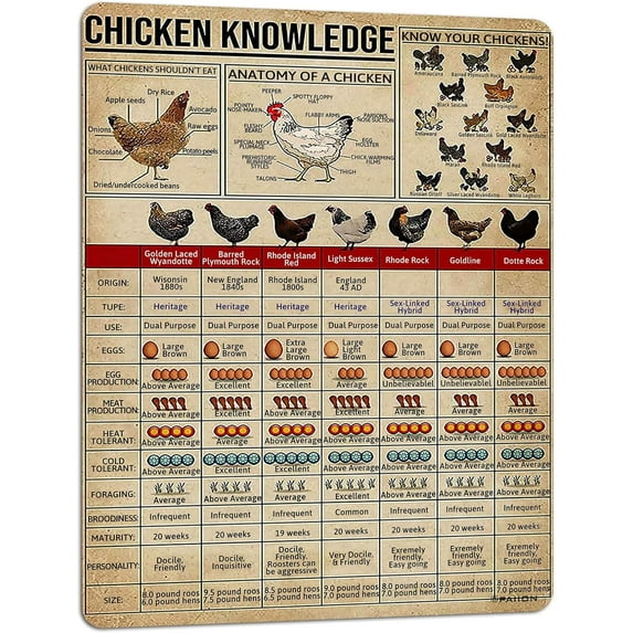 Cattle Knowledge Metal Tin Sign Breed Information Poster Animal Farm Anatomy Club School Educational Wall Decoration 16x12 Inch