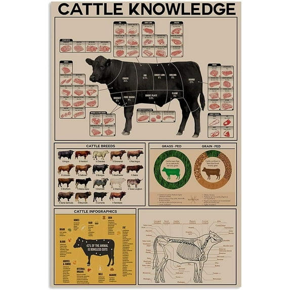 Cattle Knowledge Metal Tin Sign Breed Information Poster Animal Farm Anatomy Club School Educational Wall Decoration Plaque 12x16 Inches