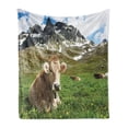 thumbnail image 1 of Cattle Soft Flannel Fleece Blanket, Milk Cows Laying and Relaxing on Green Meadows of Snowy Alpine Mountains Landscape, Cozy Plush for Indoor and Outdoor Use, 50" x 70", Multicolor, by Ambesonne, 1 of 5