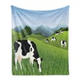thumbnail image 1 of Cattle Soft Flannel Fleece Throw Blanket, Agriculture Theme Landscape with Misty Mountain Background and Cows Eating Grass, Cozy Plush for Indoor and Outdoor Use, 70" x 90", Multicolor, by Ambesonne, 1 of 5