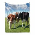 thumbnail image 1 of Cattle Soft Flannel Fleece Throw Blanket, Various Colored Herd of Cows Grazing on Pasture Nature Themed Digital Image Print, Cozy Plush for Indoor and Outdoor Use, 50" x 70", Multicolor, by Ambesonne, 1 of 6