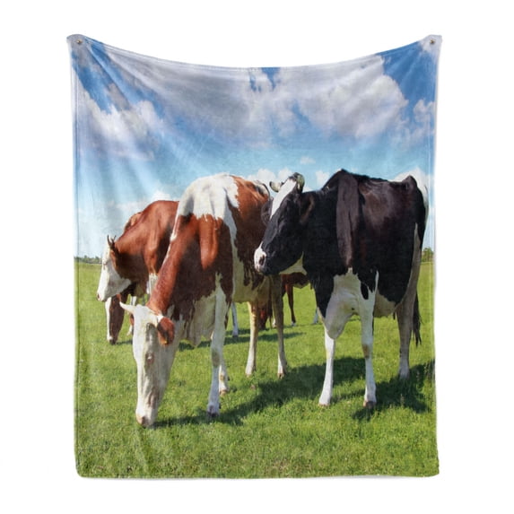 Cattle Soft Flannel Fleece Throw Blanket, Various Colored Herd of Cows Grazing on Pasture Nature Themed Digital Image Print, Cozy Plush for Indoor and Outdoor Use, 50" x 70", Multicolor, by Ambesonne