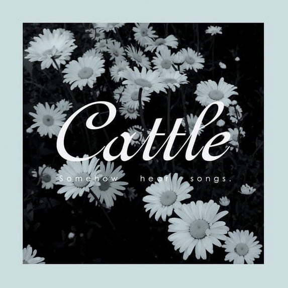 Cattle - Somehow Hear Songs - Rock - CD