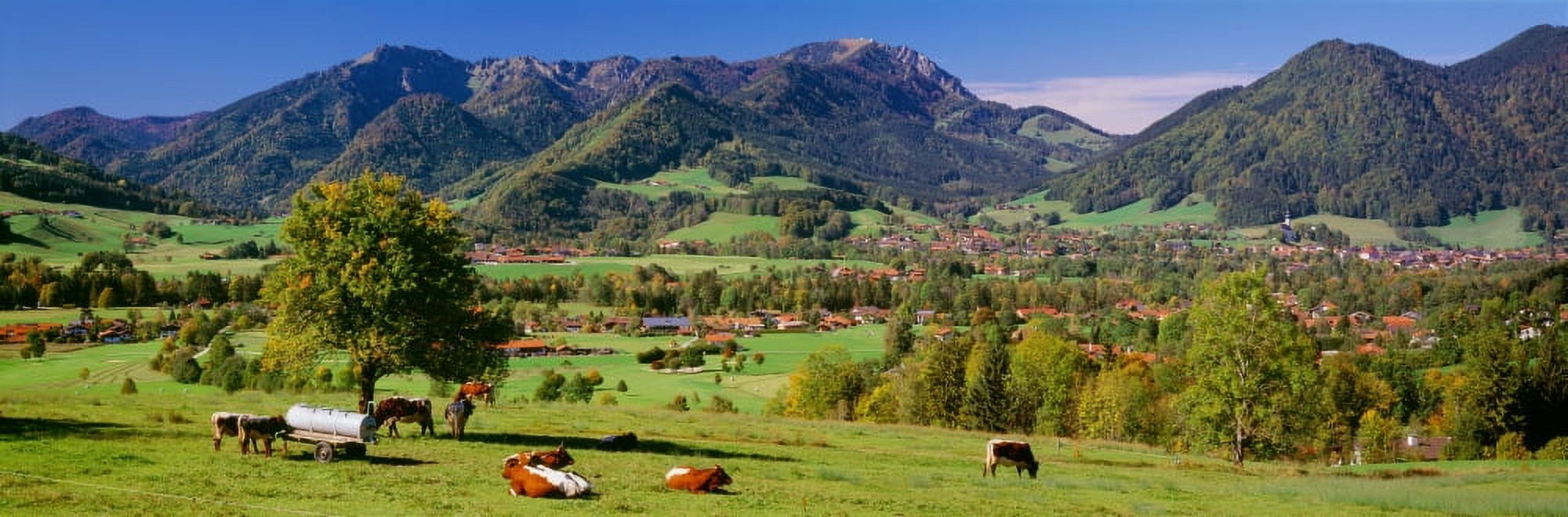 Cattle in a field with mountain range in the background Alpine Route Bavaria Germany Canvas Art - Panoramic Images (27 x 9)