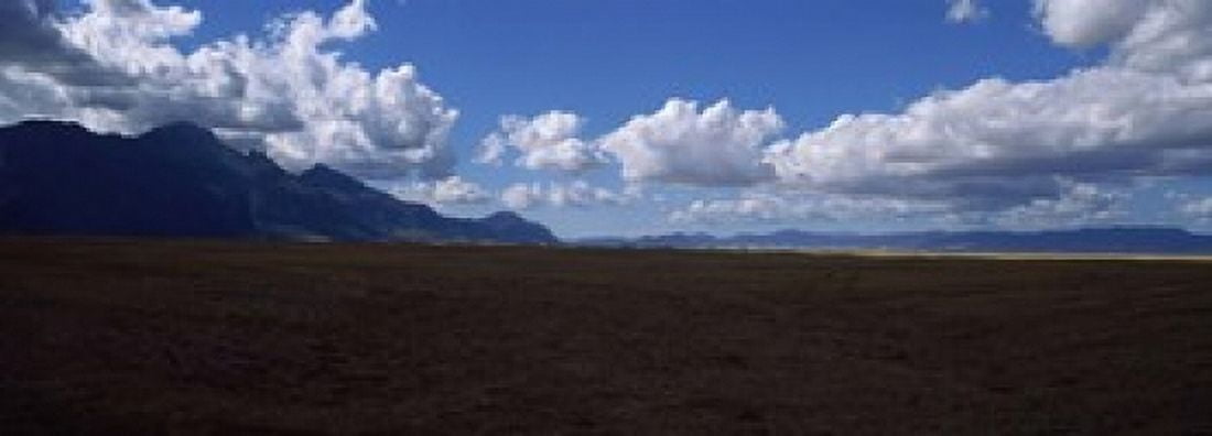 Cattle pasture Highway N7 from cape town to Namibia towards Citrusdal Western Cape Province South Africa Canvas Art - Panoramic Images (18 x 7)