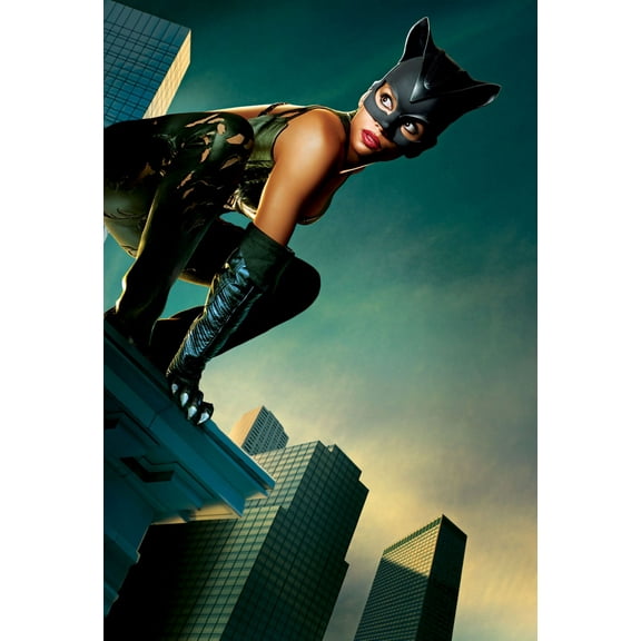 Catwoman Halle Berry Movie Poster Reprint 27inx40in any room 27x40 Square Best Posters