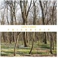 thumbnail image 1 of Catz N Dogz - Friendship - Music & Performance - CD, 1 of 1