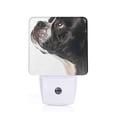 thumbnail image 1 of Cauagu Black And White Boston Terrier Print LED Nightlight,0.5W Night Lights Plug into Wall 1 Pack with Dusk-to-Dawn Light Sensor Soft Glow Lamp for Bathroom Adult Hallway-EU, 1 of 7