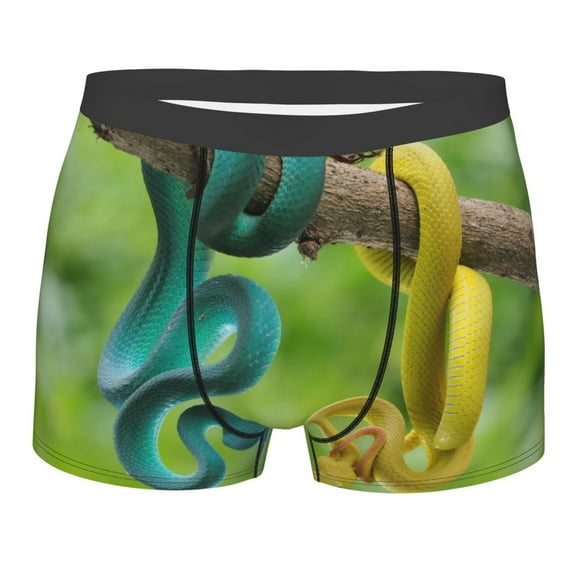 Cauagu Blue Viper And Yellow Viper Snake Print Boxer Briefs for Men,Comfortable Breathable Men's Underwear Moisture Wicking Underpants -Small