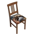 thumbnail image 1 of Cauagu Coral Fish Dolphin for Dining Chair Seat Covers,Slipcovers Kitchen Chair Covers Upholstered Chair Seat Cushion Cover Chair Seat Protector-Four Pieces, 1 of 7