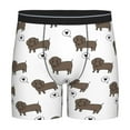 thumbnail image 1 of Cauagu Dachshund Dog Print Men's Boxer Briefs, Funny & Cute Underwear Elastic Waistband Briefs Ideal Gift for Men,1-Pack, 1 of 7