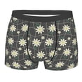 thumbnail image 1 of Cauagu Daisies Flowers Print Boxer Briefs for Men,Comfortable Breathable Men's Underwear Moisture Wicking Underpants -Large, 1 of 8