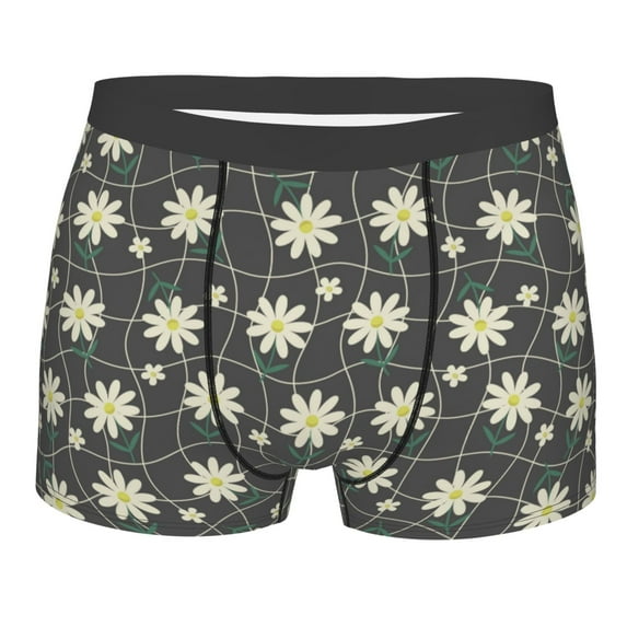 Cauagu Daisies Flowers Print Boxer Briefs for Men,Comfortable Breathable Men's Underwear Moisture Wicking Underpants -Large