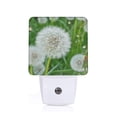 thumbnail image 1 of Cauagu Dandelion Flower In The Meadow Print LED Nightlight,0.5W Night Lights Plug into Wall 1 Pack with Dusk-to-Dawn Light Sensor Soft Glow Lamp for Bathroom Adult Hallway-EU, 1 of 7