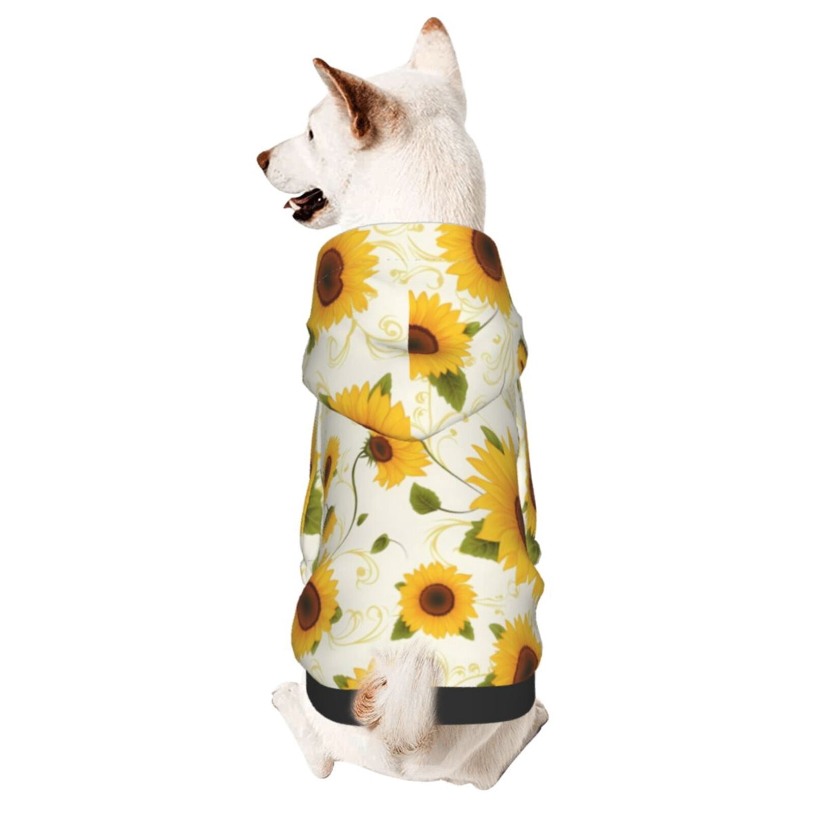Sunrise Mountain Cactus Letters Print Hoodie Dog And Owner Matching Outfits