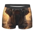 thumbnail image 1 of Cauagu Lake Meditating Elephant Print Boxer Briefs for Men,Comfortable Breathable Men's Underwear Moisture Wicking Underpants -XX-Large, 1 of 8