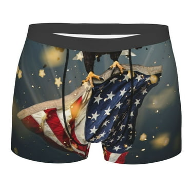 Cauagu North American Bald Eagle1 Print Boxer Briefs for Men,Comfortable Breathable Men's Underwear Moisture Wicking Underpants -Medium