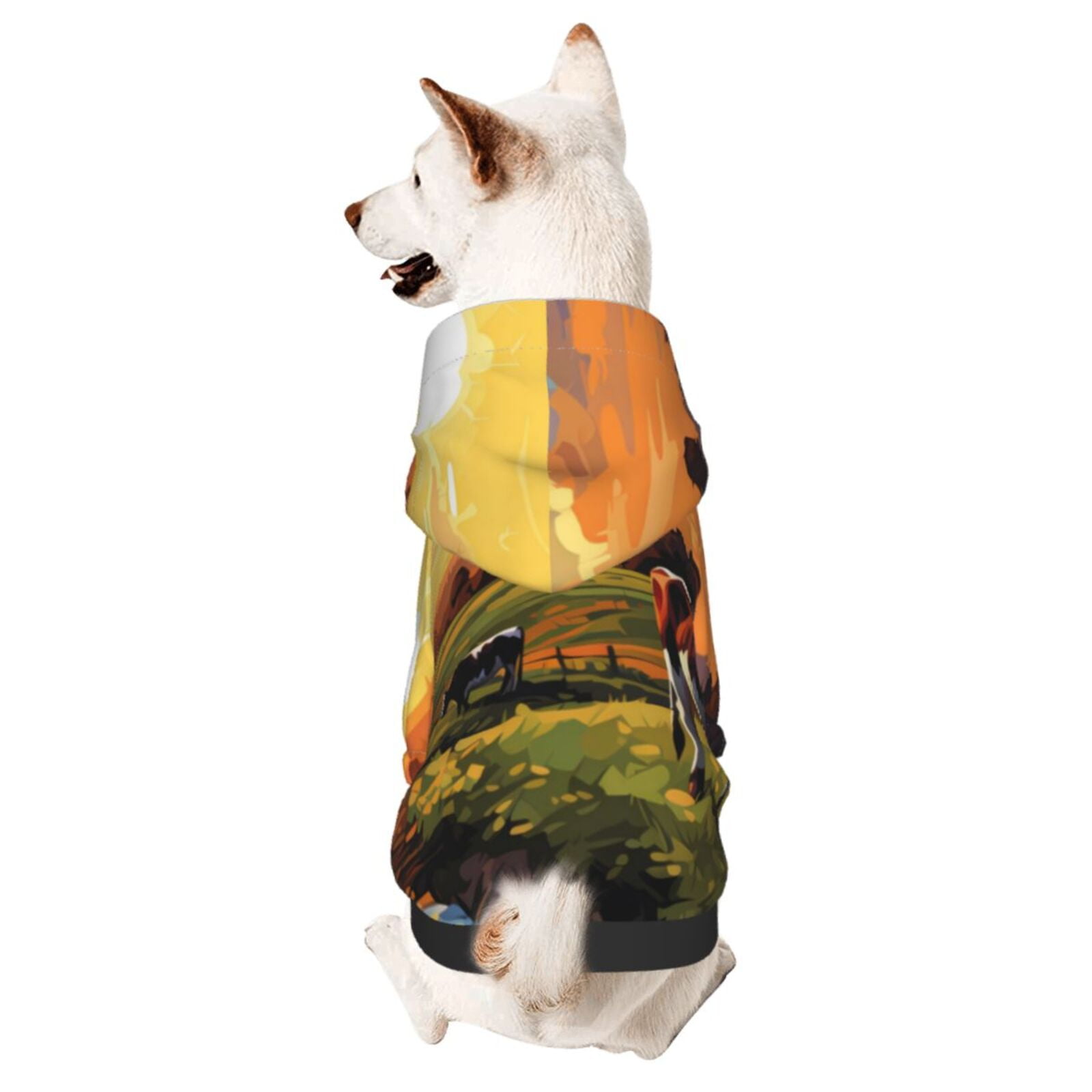 Indigenous Paisley Sierra Pet Dog Hoodie
