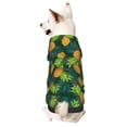 thumbnail image 1 of Cauagu Pineapples with Palm Leaves Pattern Winter Pet Hoodie Sweatshirts- Dog Hoodie Sweater with Leash Hole - Cute Dog Hoodie - Pet Clothes Puppy Cat Custume -XX-Large, 1 of 8