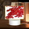 thumbnail image 1 of Cauagu Red Maple Leaf for Rectangle Acrylic Night Light - Acrylic Modern Bedside Light with LED Light Lamp Base - Decorative Night Lamp for Restaurant Bar Cafe Shop, 1 of 9