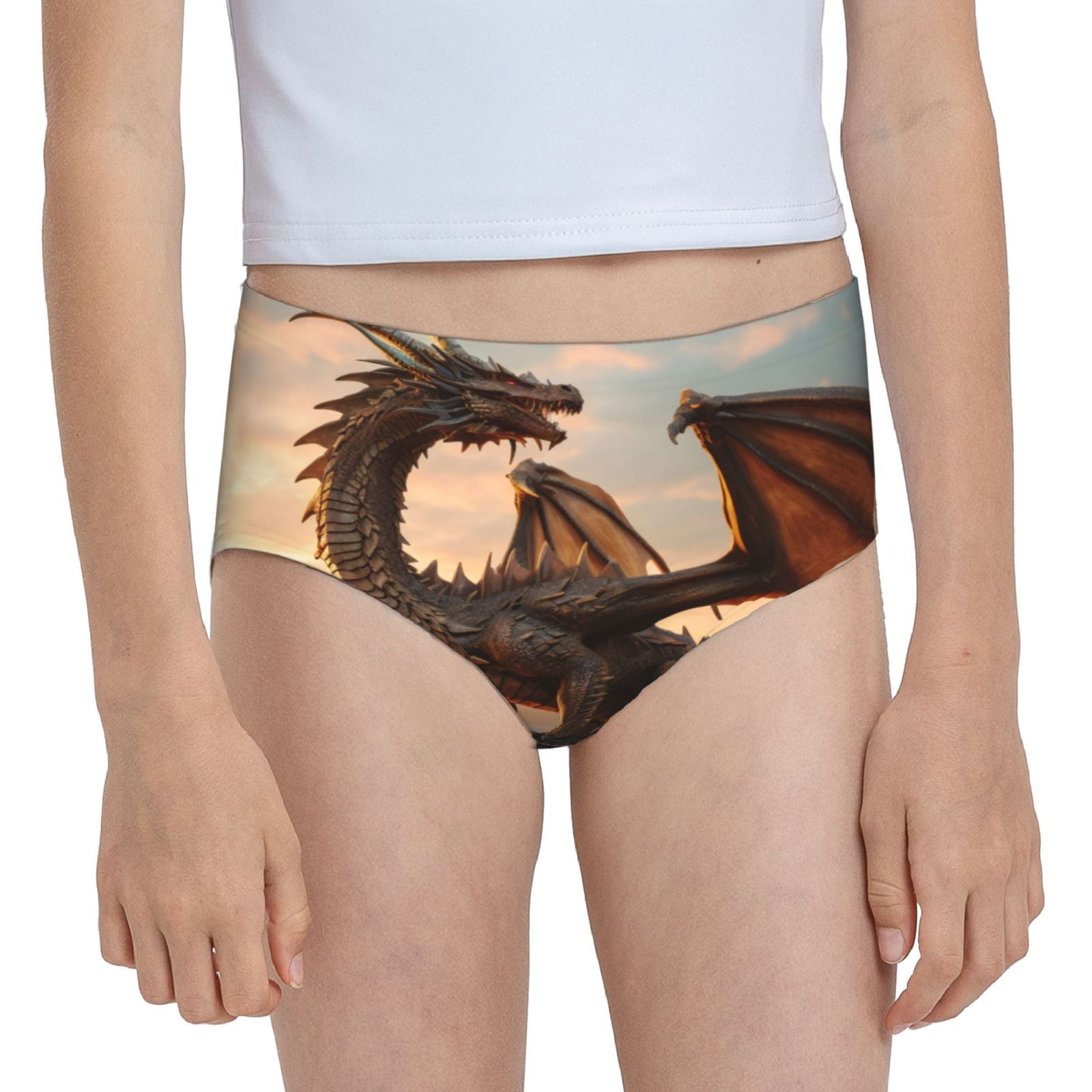 Cauagu Sky Sunset Bronze Dragon Print Brief Underwear,Stretch Cotton ...