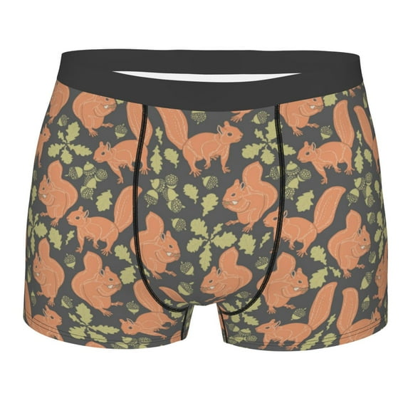 Cauagu Squirrel And Nuts Print Boxer Briefs for Men,Comfortable Breathable Men's Underwear Moisture Wicking Underpants -XX-Large
