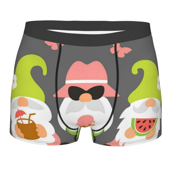 Cauagu Summer Gnome 1 Print Boxer Briefs for Men,Comfortable Breathable Men's Underwear Moisture Wicking Underpants -Medium
