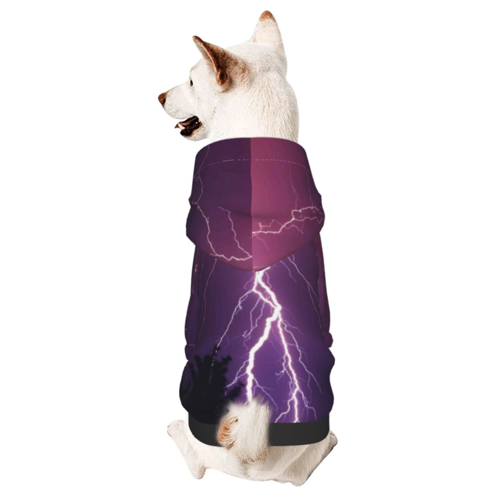 After the Rain Pet Dog Hoodie