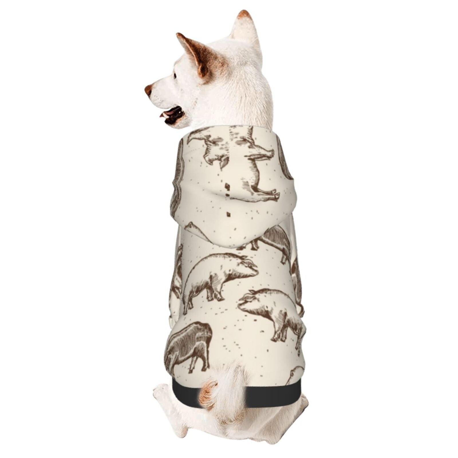 Indigenous Paisley Pet Dog Hoodie