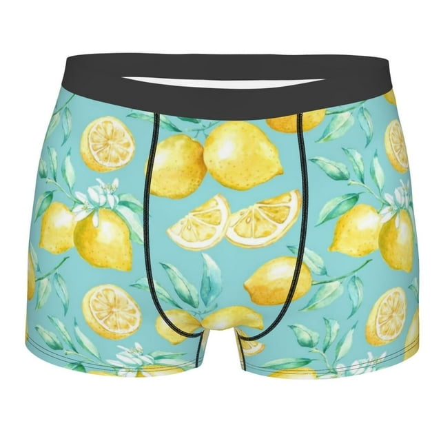 Cauagu Yellow Lemon Print Boxer Briefs for Men,Comfortable Breathable ...