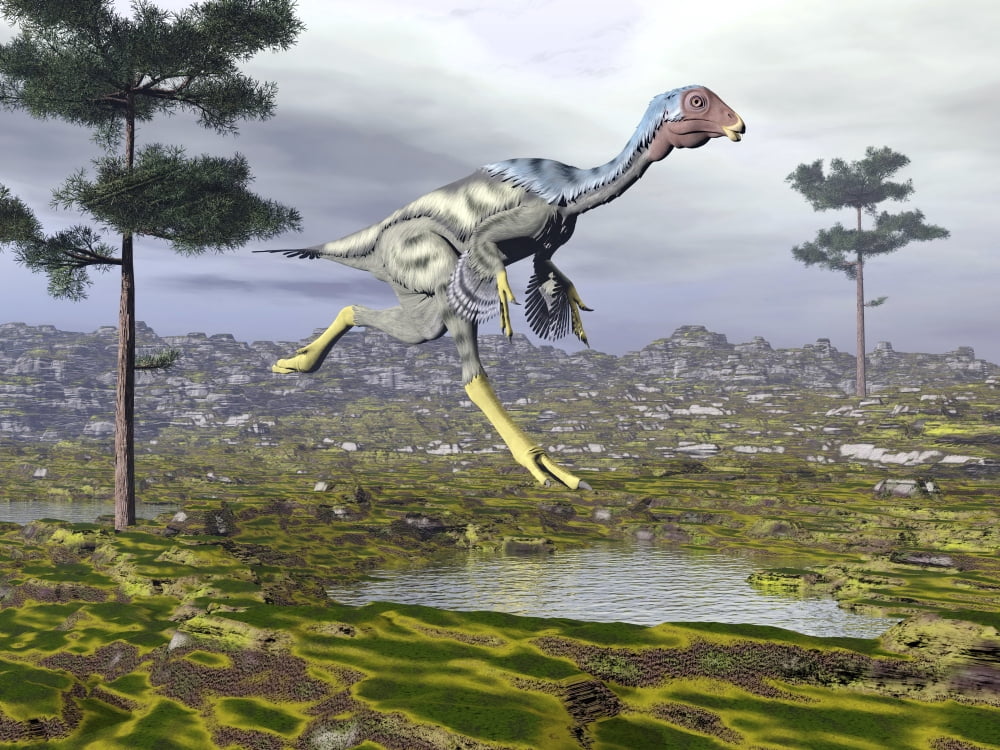 Caudipteryx dinosaur Canvas Art - Elena DuvernayStocktrek Images (33 x 25)