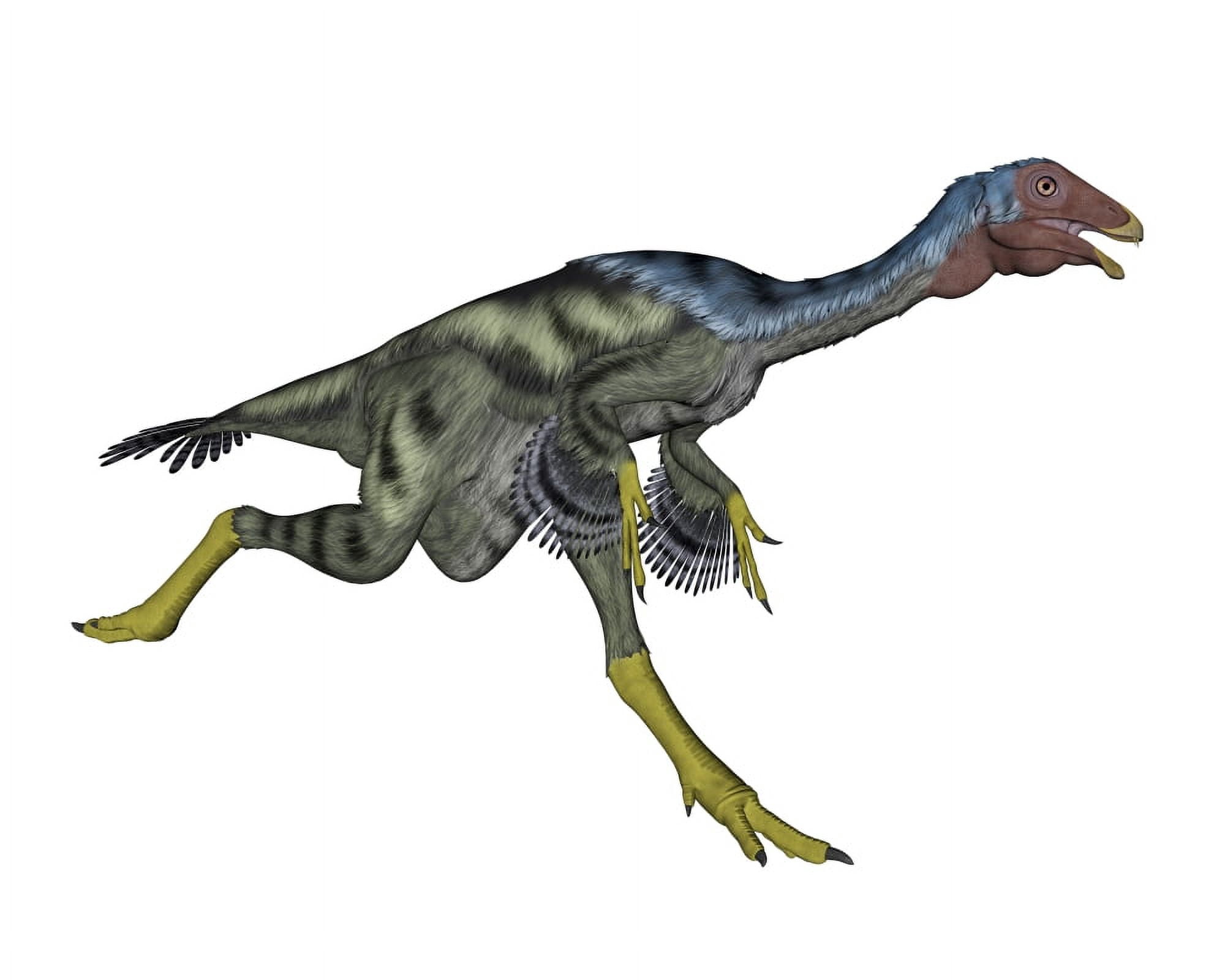Caudipteryx dinosaur running Canvas Art - Elena DuvernayStocktrek Images (32 x 26)
