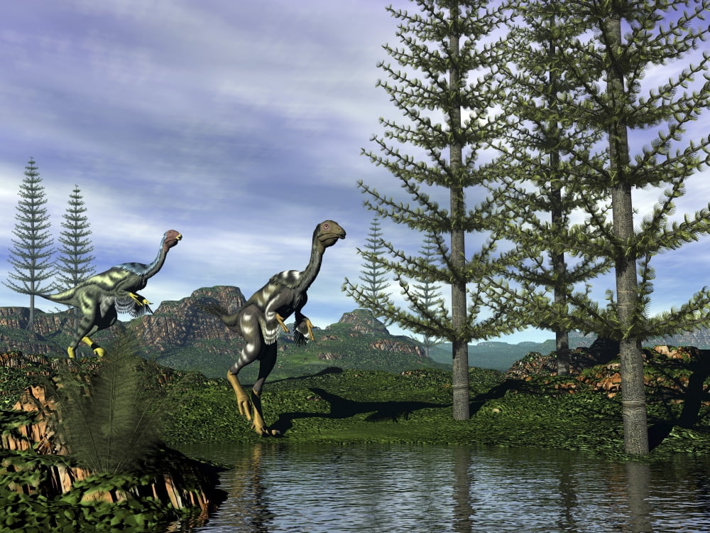 Caudipteryx dinosaurs at the waters edge next to tempskya trees Canvas Art - Elena DuvernayStocktrek Images (33 x 25)