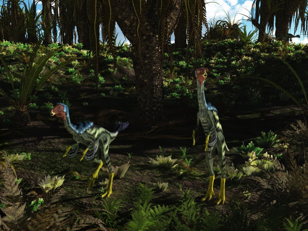 Caudipteryx wander a prehistoric landscape Canvas Art - Walter MyersStocktrek Images (33 x 25)