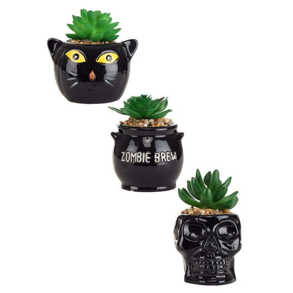 Cauldron, Cat & Skeleton Halloween Succulent Planter Set