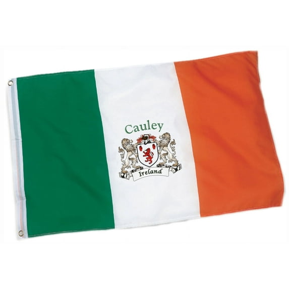 Cauley Irish Coat of Arms Heavy Duty Outdoor Ireland Flag - 2'x3'