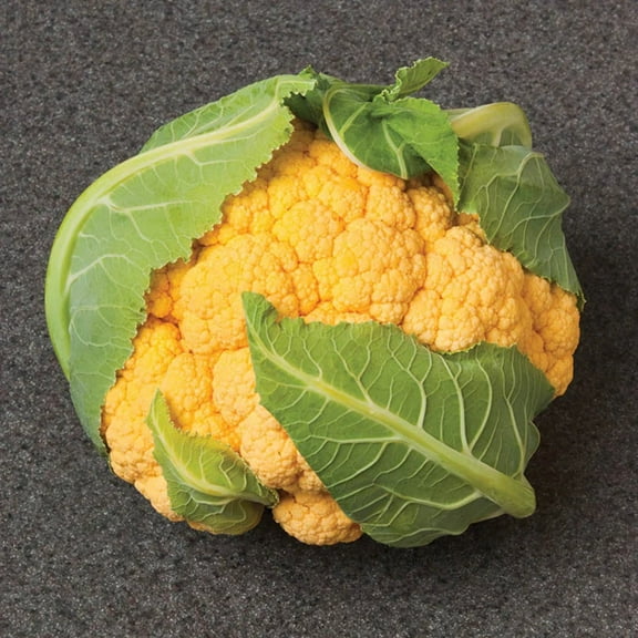 Cauliflower Flame Star F1 Seed