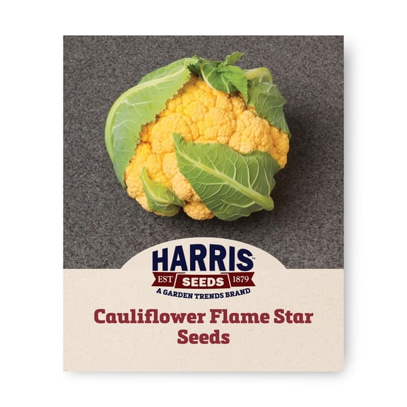 Harris Seeds Cauliflower Flame Star Seeds, Orange Curd Variety for Garden Growing, 50 Count