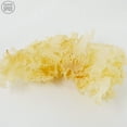 thumbnail image 1 of Cauliflower Mushrooms, Dried, 1 of 1