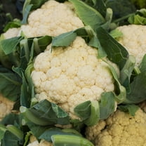 Cauliflower Seeds - All Year Round - 1 Lb ~144,000 Seeds - Brassica oleracea var. botrytis - Farm & Garden Vegetable Gardening & Microgreens Seeds - Non-GMO, Heirloom, Open Pollinated, Annual