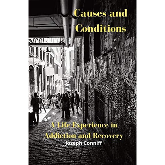 Pre-Owned Causes and Conditions: A Life Experience in Addiction and Recovery (Paperback) 0578792060 9780578792064