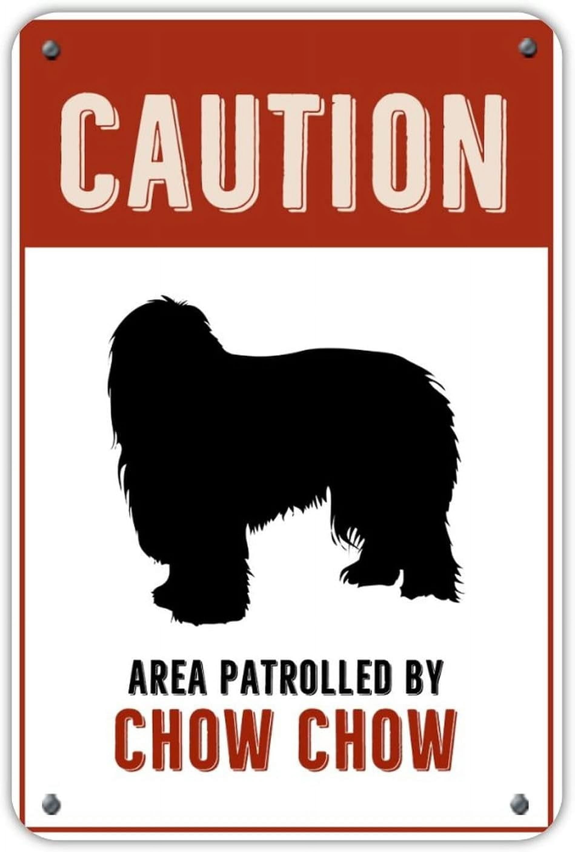 Hundeschild "Caution Area Patrolled By Australian Cattle Dog" – 27,9x27,9 Cm, Wetterfest, Für Garten & Haus